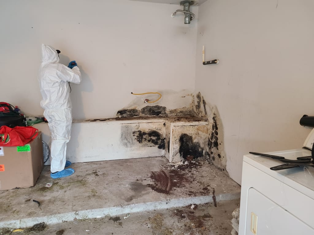  A Green Homes Solutions Technician Kneels and Holds a Device Against a Wall to Inspect for Mold While Another Man Watches