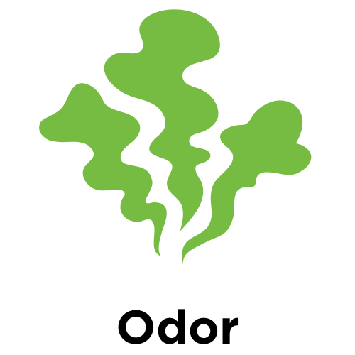 Odor Removal