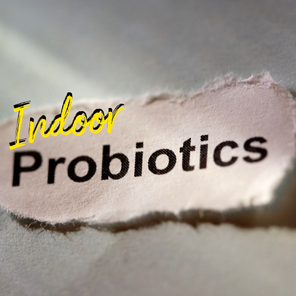 Freshen Up Your Space: Indoor Probiotics in  Bowie, MD!