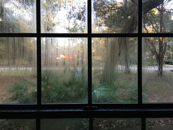 Why Mold Removal and Prevention Matter This Fall