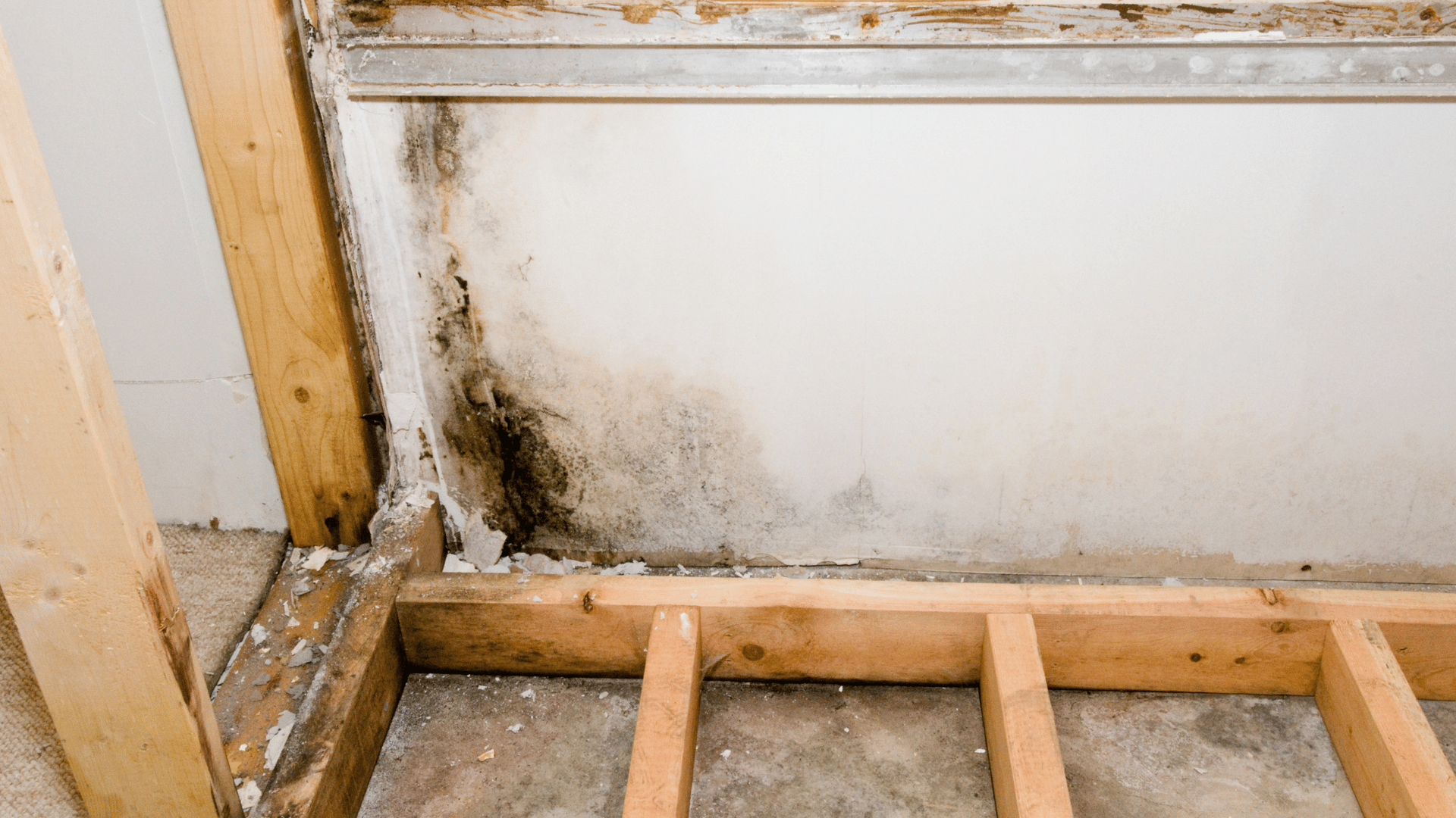 Mold