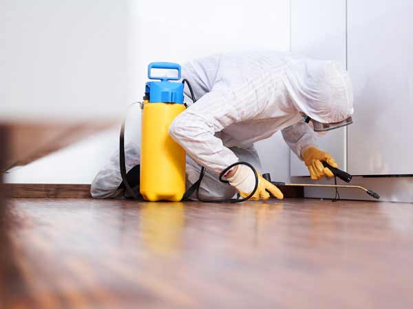 A Worker in Full White PPE Kneels on the Floor Next to a Yellow Canister with Blue Lid and Sprays a Baseboard Under a Cabinet