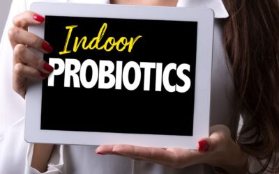 Revitalize Your Spaces with Indoor Probiotics!