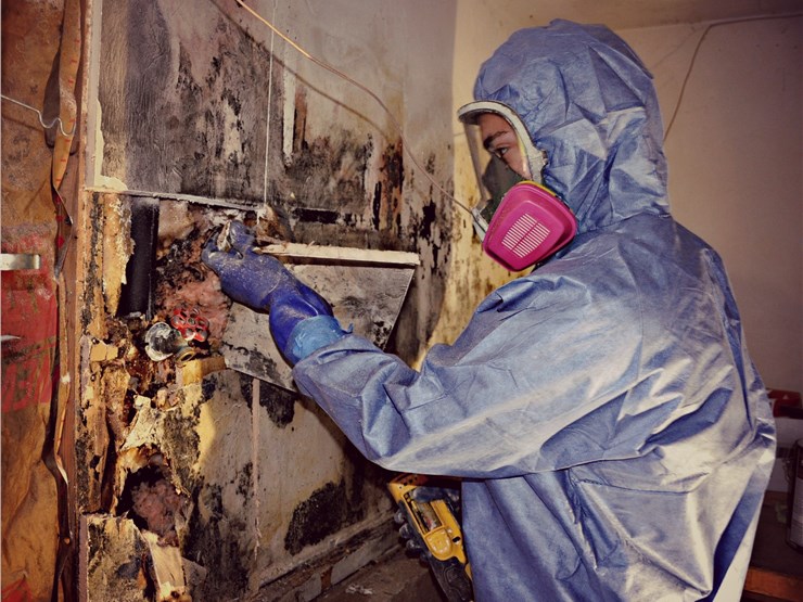 Residential Mold Remediation and Mold Cleanup Services in Chicagoland