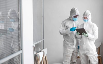 Essential Guide to Testing for Mold in Your Chicago Home