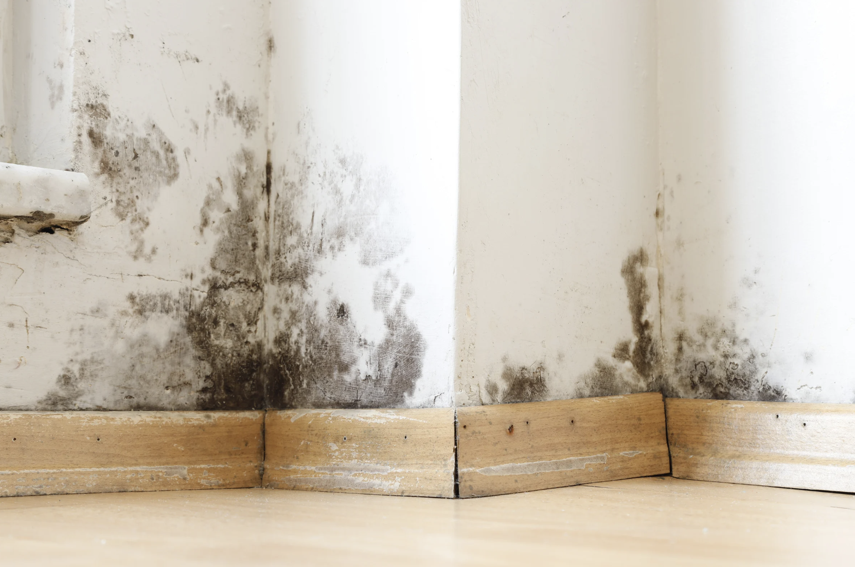 Mold in corner