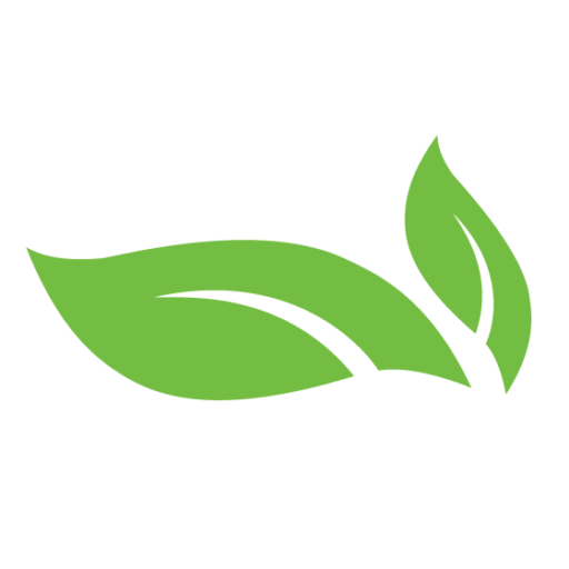 Tips for Maintaining a Germ-Free Home During Summer