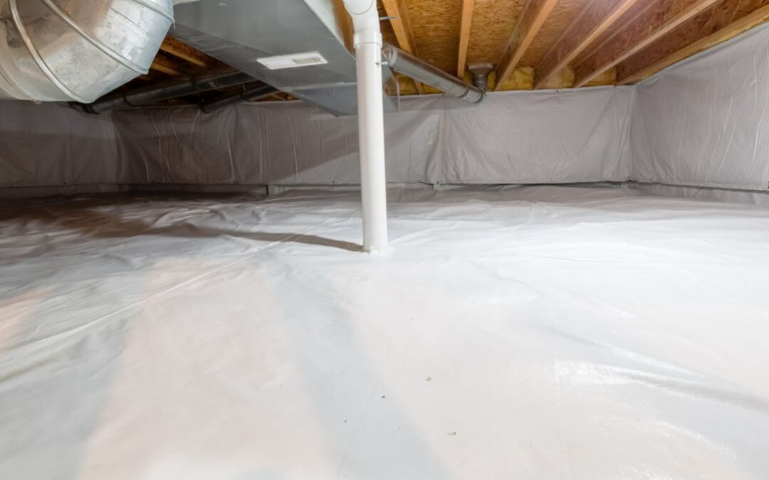How Crawl Space Moisture Leads to Mold—And What to Do About It