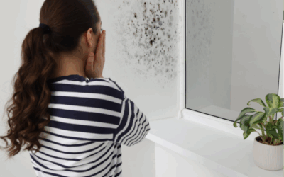 What is the Difference Between Mold Removal and Mold Remediation?