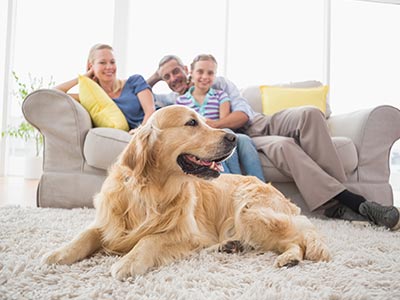 blog-odor-removal