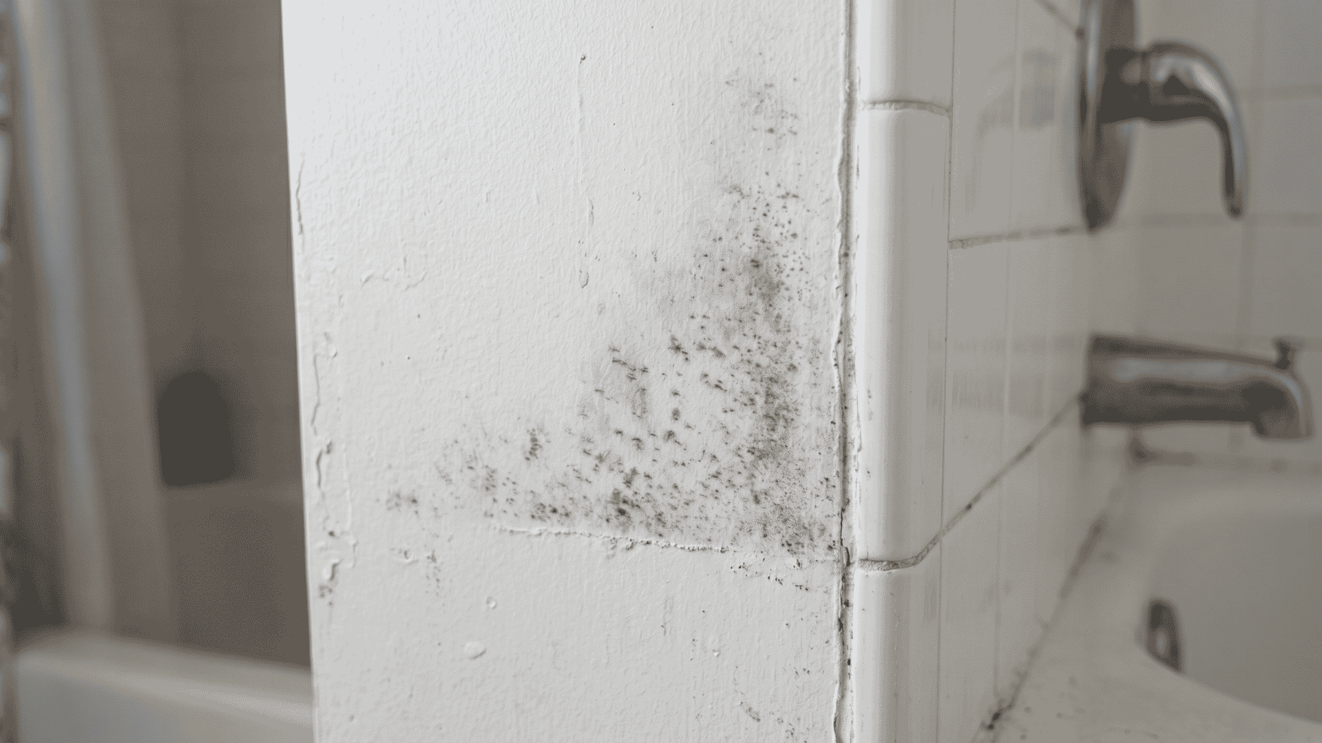 Mold growth