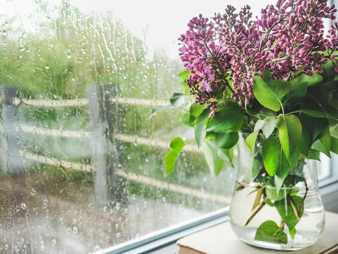 April Showers Bring… Mold?