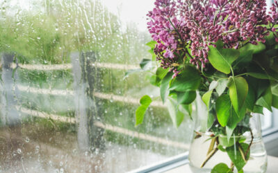 April Showers Bring… Mold?