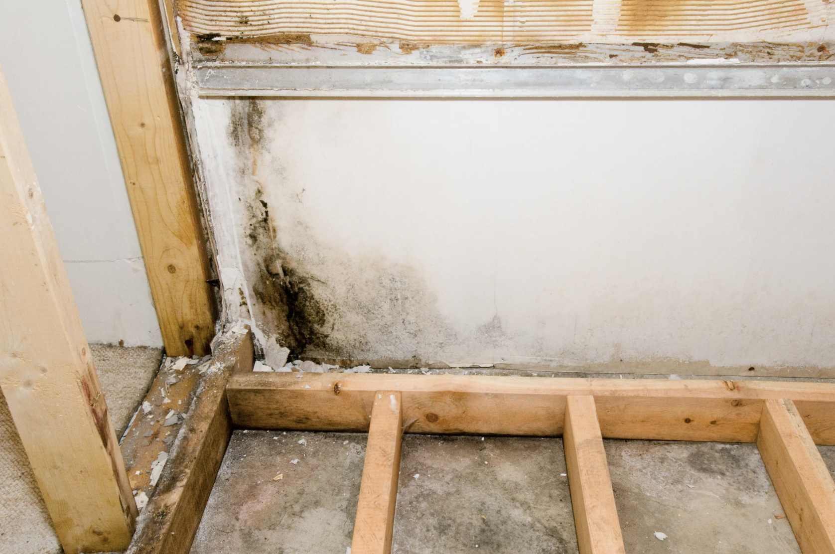 Mold in corner