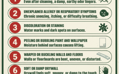 7 Signs of Hidden Mold You Shouldn’t Ignore