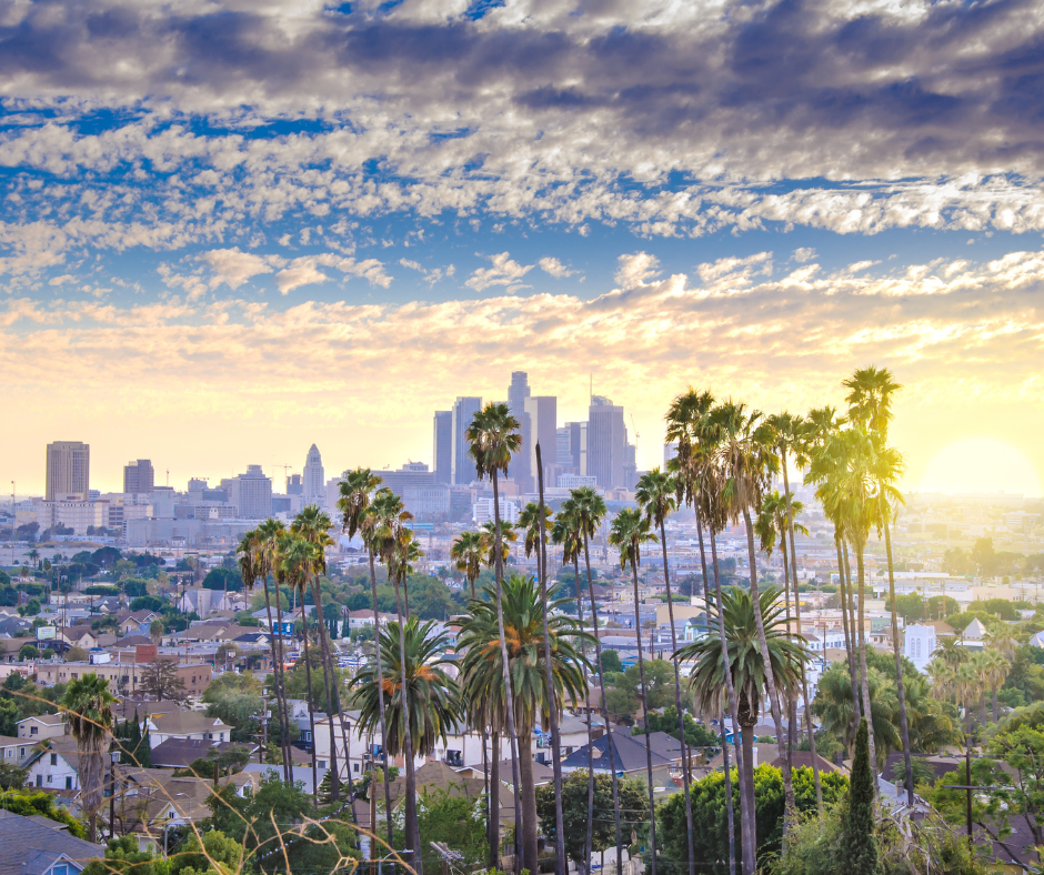 Mold remediation services in LA Metro