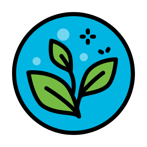 Plant-Based Products