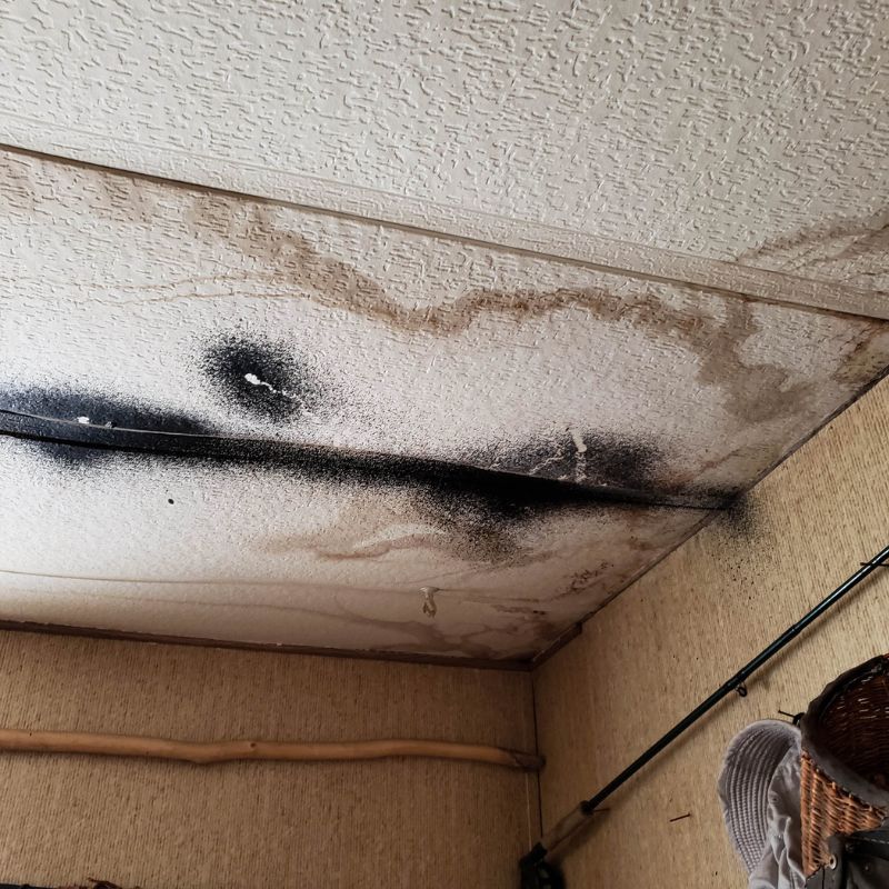 Black Mold remediation Black mould on wall closeup. House cleaning concept