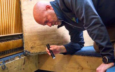 How Crawl Space Moisture Leads to Mold – And What to Do About It