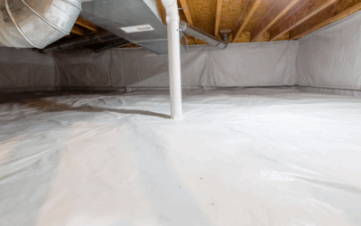 How Crawl Space Moisture Leads to Mold—And What to Do About It