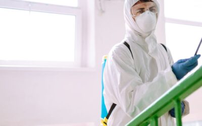 Spring Revival: The Importance of Spring Cleaning and Disinfection