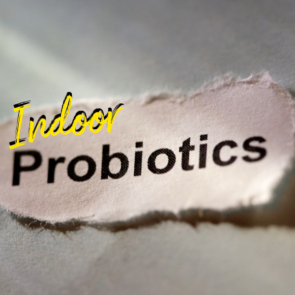 Freshen Up Your Space: Indoor Probiotics in Mount Airy, MD!