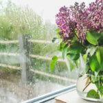 Purple lilac flowers in white vase by rainy window overlooking green countryside with wooden fence.