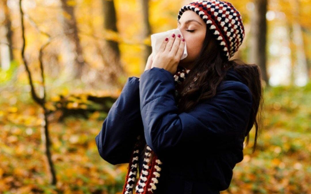 September Sneezes: How Seasonal Allergies Impact Your Indoor Air Quality