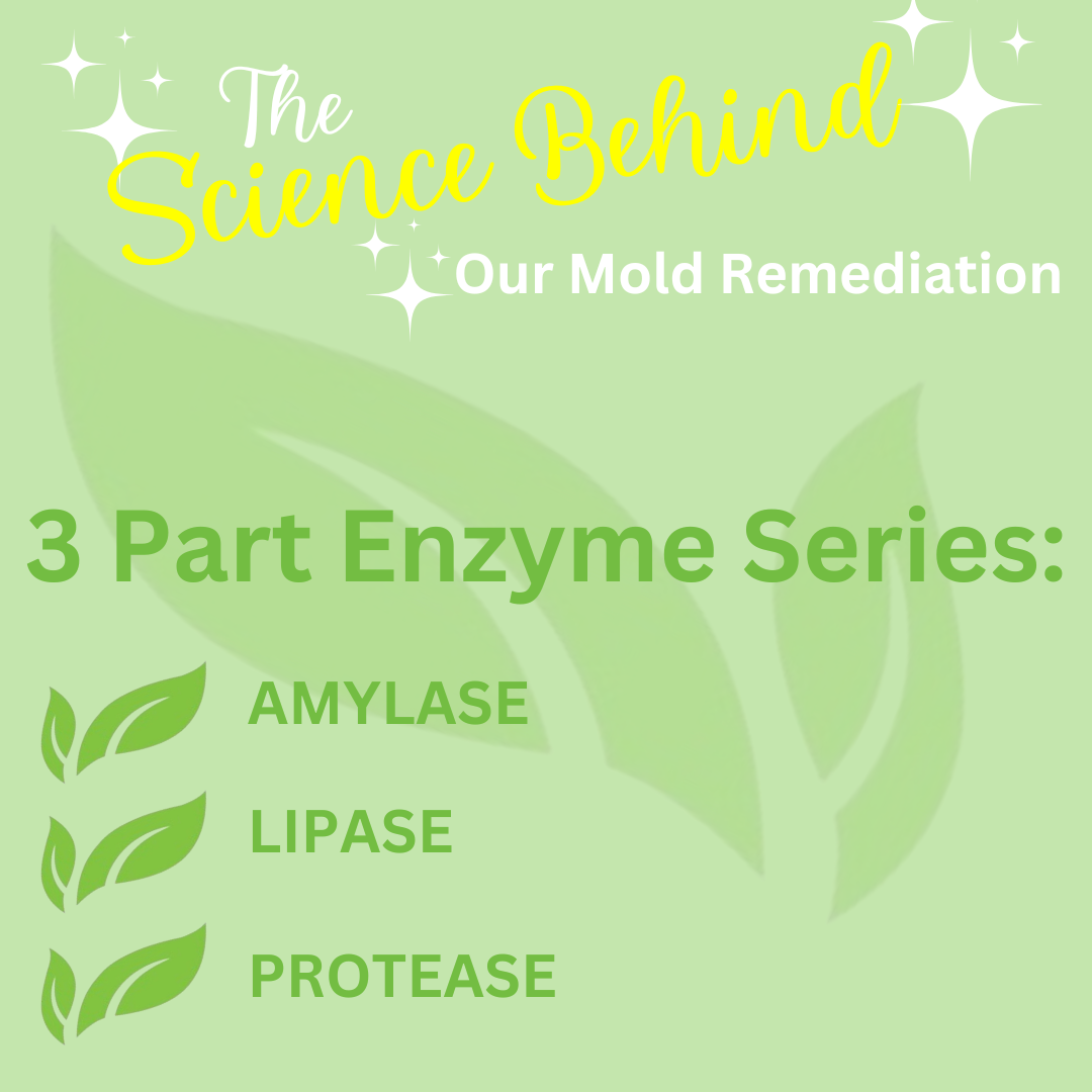 Enzyme - 3 Part Series