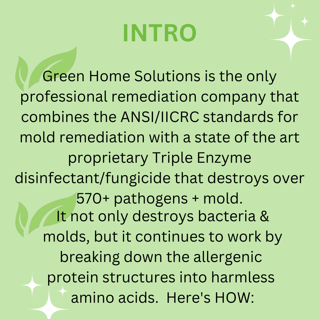 Enzyme - 3 Part Series(1)