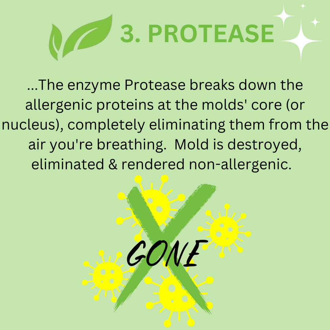 Enzyme - 3 Part Series(4)