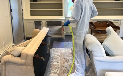 Spring Cleaning Tips