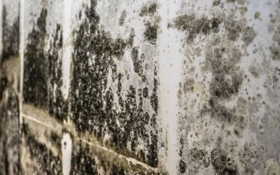 What is the approved method of deactivating Mycotoxins?