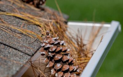 August Is Peak Humidity Season – Here’s Why You Should Be Thinking About Mold