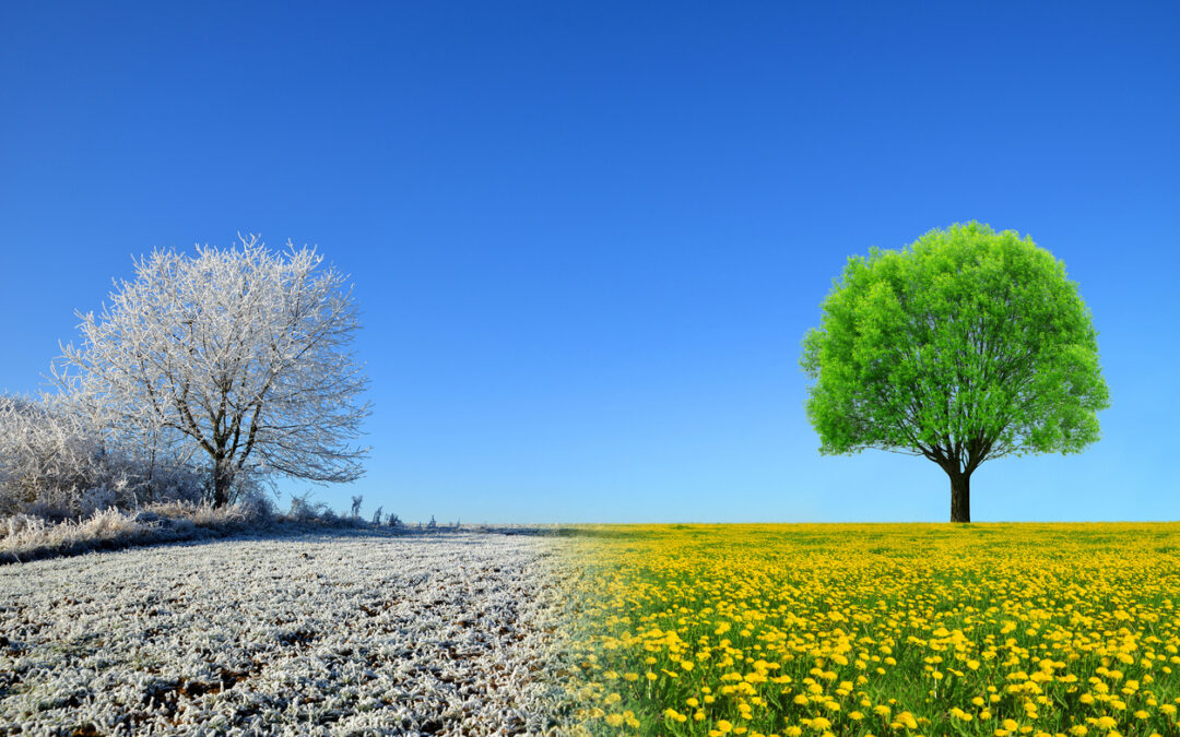 Winter and spring landscape with blue sky. Concept of change season.