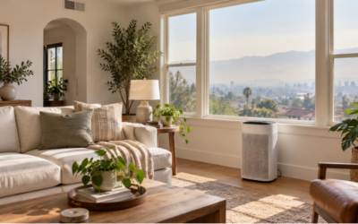 What Causes Poor Indoor Air Quality in Your Home?