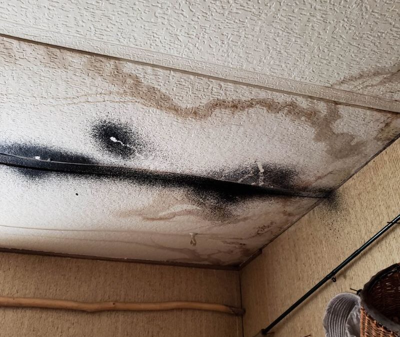 Why a whole home hepa air filtration system is better than UV Light?