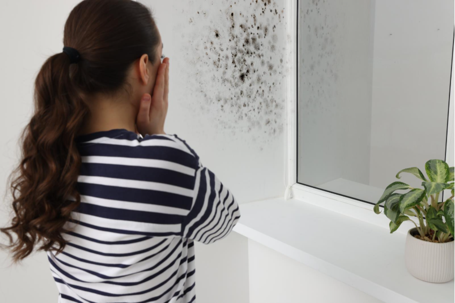 A woman pictured from behind with her hands up to the sides of her face in an expression of shock facing a wall covered in mold next to a mirror and a house plant.