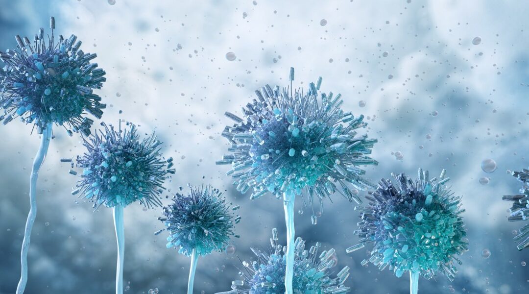 How Mycotoxins Impact Indoor Air Quality