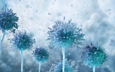 How Mycotoxins Impact Indoor Air Quality