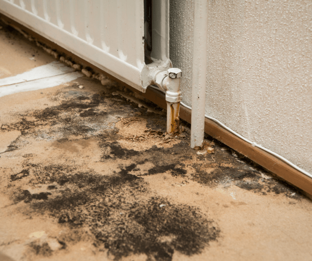 picture of mold growing on the floor just below a dripping furnace