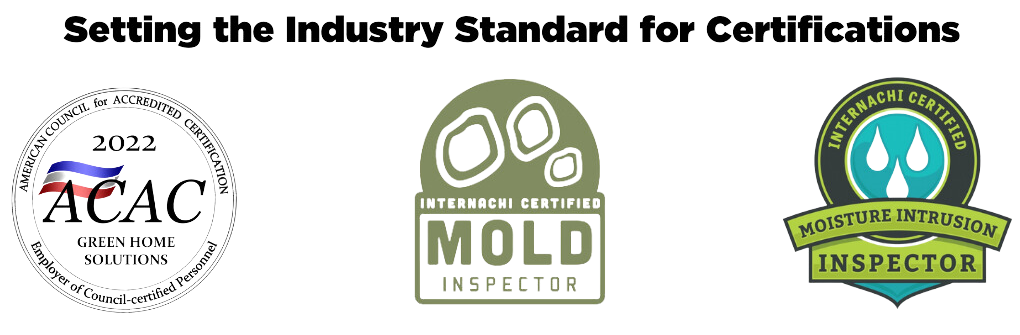 Certified Mold Inspector in Southern Maine