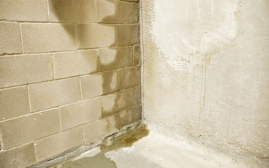 The Cost of Ignoring Basement Water Problems