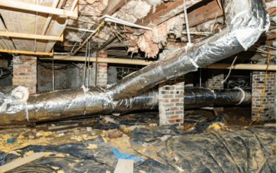 Why Crawl Space and Basement Health Go Hand-in-Hand