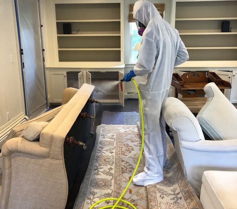 Spring Cleaning Tips