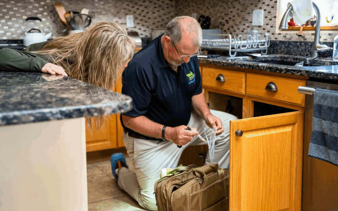 Do I Need an Air Purifier if I Already Clean Regularly?