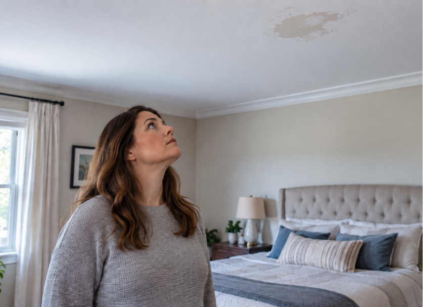 Can Attic Mold Affect the Rest of Your Home?