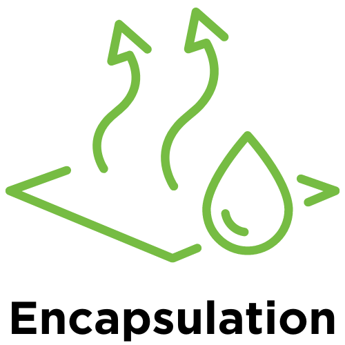 Crawl Space Encapsulation