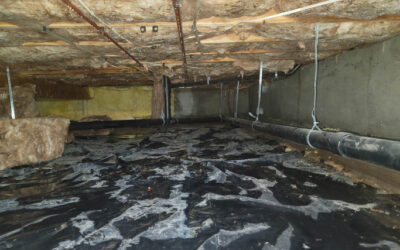 What are the Benefits of Crawl Space Encapsulation?