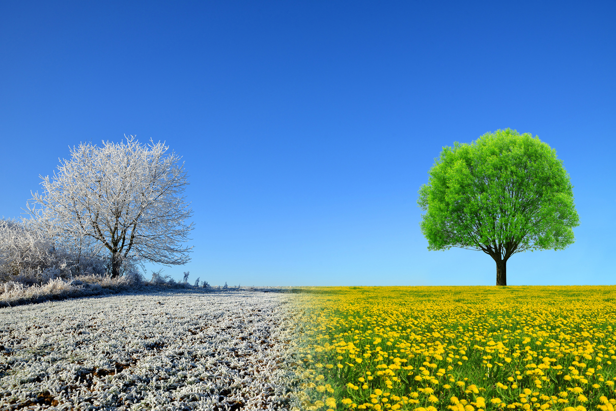 Winter and spring landscape with blue sky. Concept of change season.